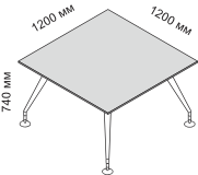 ���� ����������� ����������