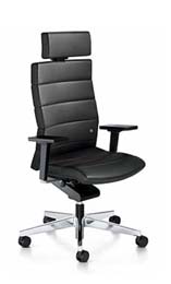 ������������ ������ ������������ Champ