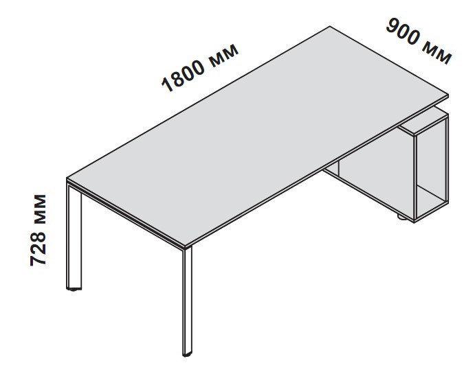 ���� ������������