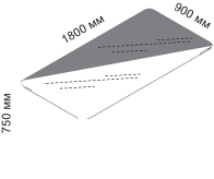 ������� ���� ��������� ����������