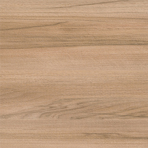 ������������� ����