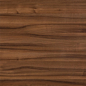 ����������� ����