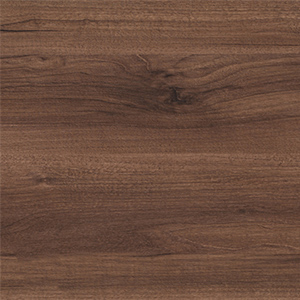 ���� ����